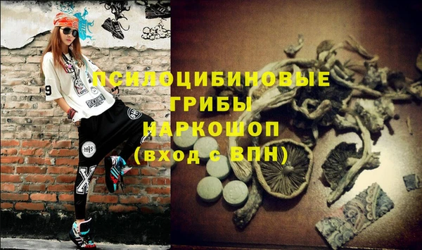 мескалин Сатка